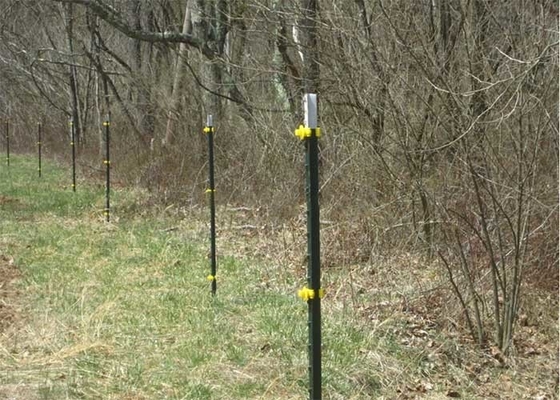 Agriculture Studded T Post Green Painted Galvanized Steel 6ft For Farm