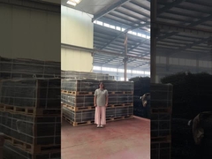 Púas para enrejado de visión clara Seguridad 358 Valla anti-escalada