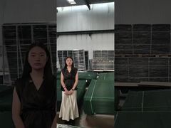 Valla de seguridad anti-escalada Clear View para la fabricación de palets